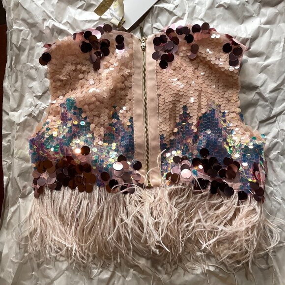 NWT BRAND NEW NEVER WORN BRONX & BANCO XL BLUSH FEATHER Farah Rose Sequins Set - Picture 7 of 14